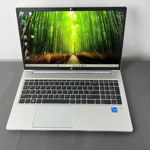 HP Probook 450 G8